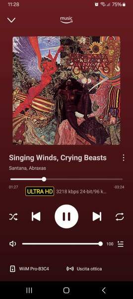 Screenshot_20241119_112830_WiiM Home.jpg