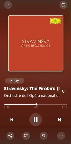 Screenshot_20241121_221119_Amazon Music.jpg