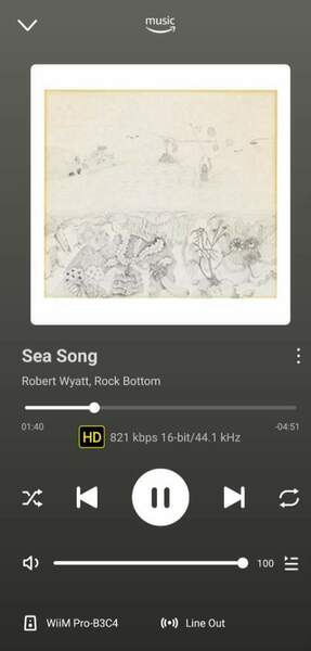 Screenshot_20241123_133802_WiiM Home.jpg