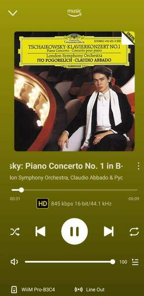 Screenshot_20241128_114610_WiiM Home.jpg