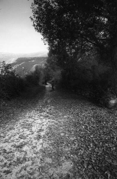 celano e roma mostra fotog014.jpg