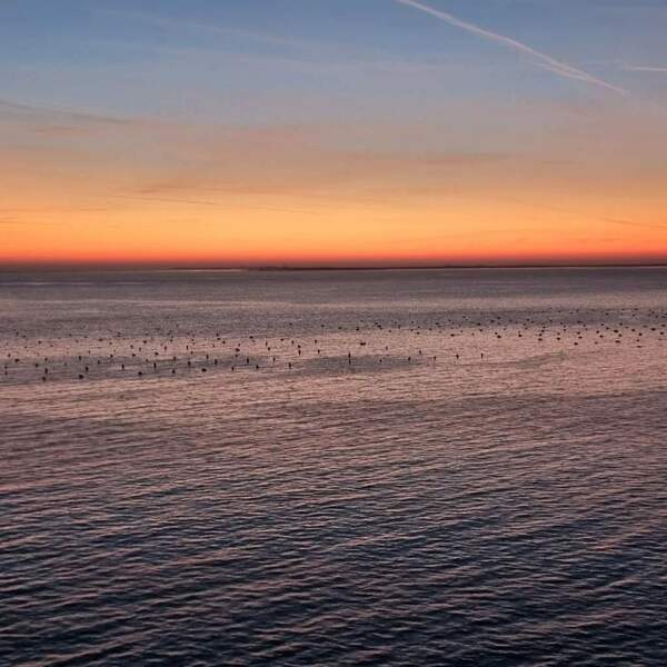 Foto di Luca Parlato.jpg