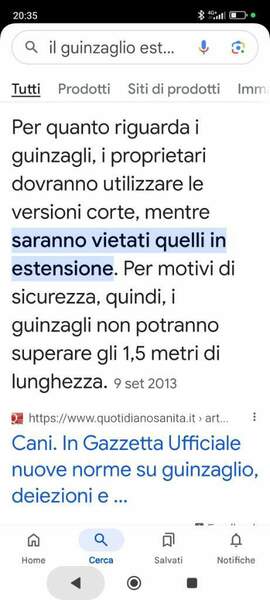 Screenshot_2024-12-27-20-35-43-046_com.google.android.googlequicksearchbox.jpg