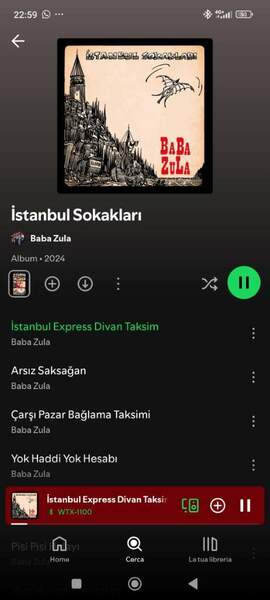 Screenshot_2024-12-30-22-59-55-681_com.spotify.music.jpg