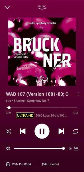 Screenshot_20241209_125432_WiiM Home.jpg