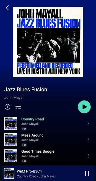 Screenshot_20241221_131752_WiiM Home.jpg