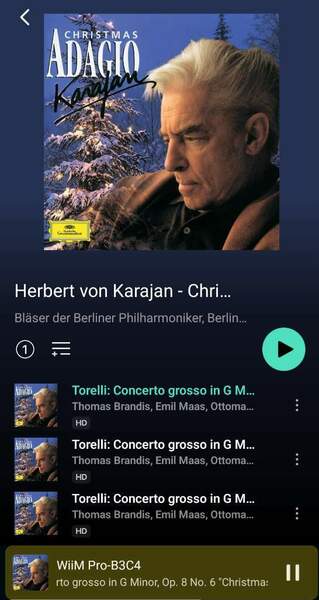Screenshot_20241225_113842_WiiM Home.jpg