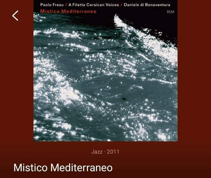 Screenshot_20241229-103509_WiiM Home.jpg