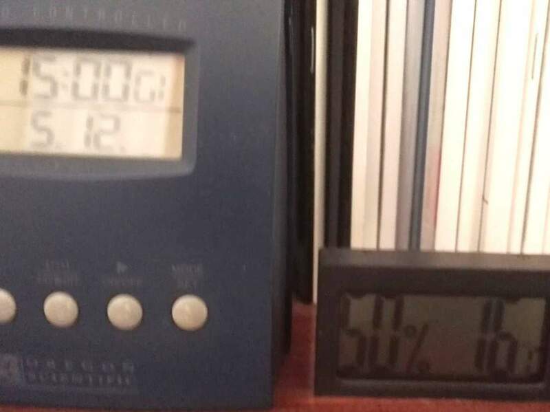 WhatsApp Image 2024-12-05 at 14.59.38.jpeg