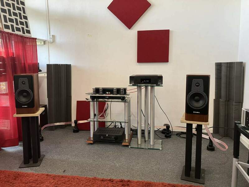 Dynaudio 20.jpeg