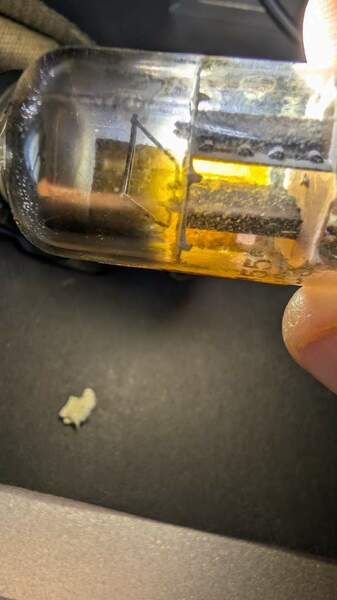 Immagine WhatsApp 2025-01-30 ore 14.25.19_1ac25f92.jpg