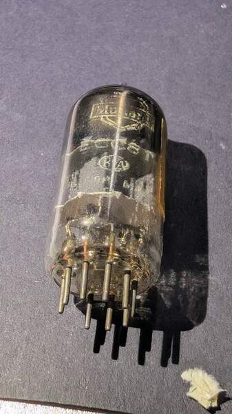 Immagine WhatsApp 2025-01-30 ore 14.25.19_a275ce93.jpg