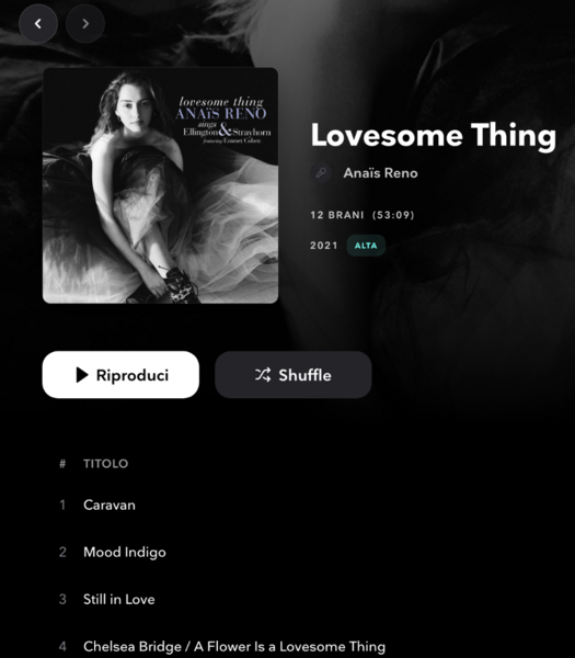 Schermata 2025-01-12 alle 10.53.13.png