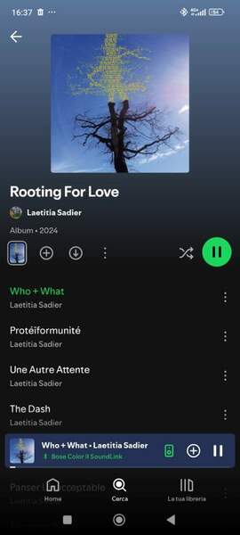 Screenshot_2025-01-02-16-37-53-574_com.spotify.music.jpg