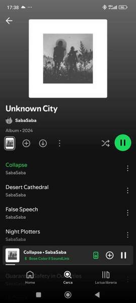 Screenshot_2025-01-02-17-38-27-161_com.spotify.music.jpg