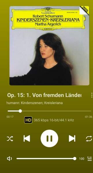 Screenshot_20250108_111039_WiiM Home.jpg