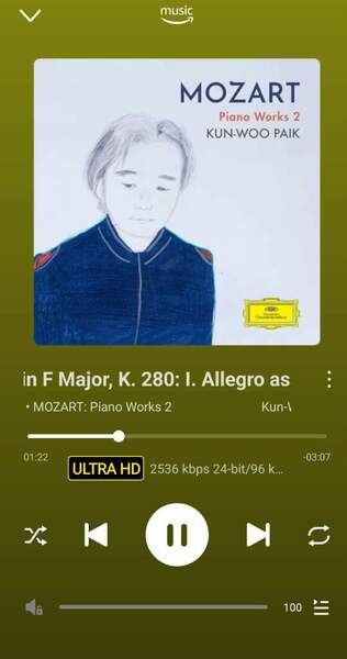 Screenshot_20250111_171109_WiiM Home.jpg