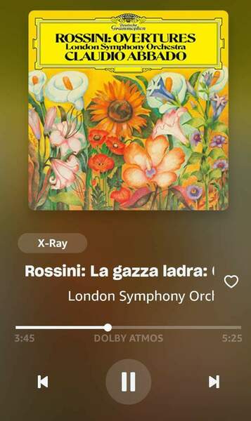 Screenshot_20250113_185114_Amazon Music.jpg