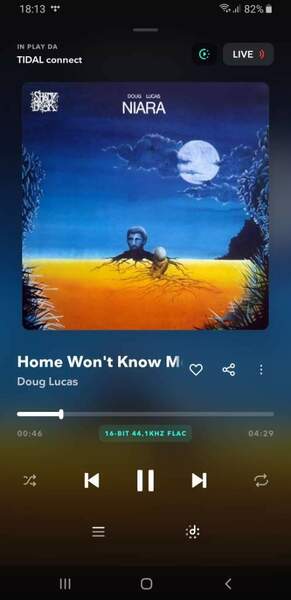 Screenshot_20250127-181335_TIDAL.jpg