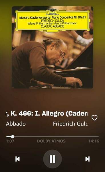 Screenshot_20250129_112738_Amazon Music.jpg