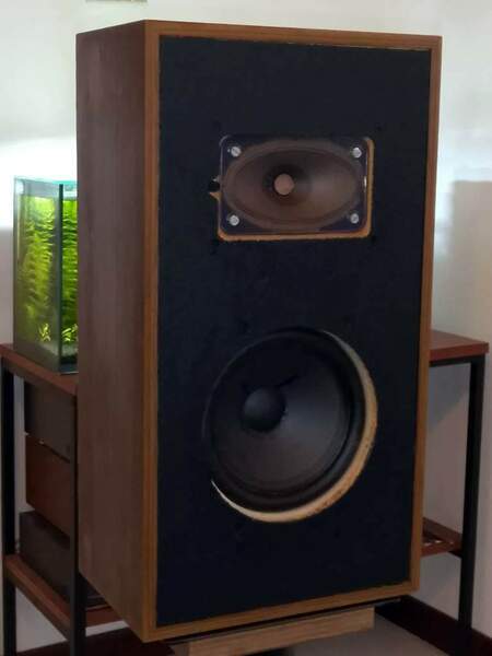 IMG_20250224_113313 bis.jpg