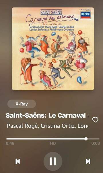 Screenshot_20250202_204310_Amazon Music.jpg