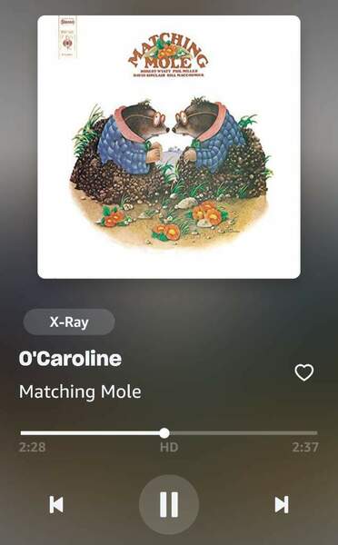 Screenshot_20250224_223009_Amazon Music.jpg