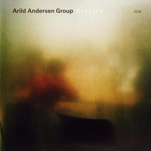 Arild Andersen 2005 Electra.jpg