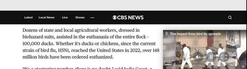 Screenshot 2025-03-21 at 17-09-53 As bird flu ravages poultry industry the damage spreads.jpg