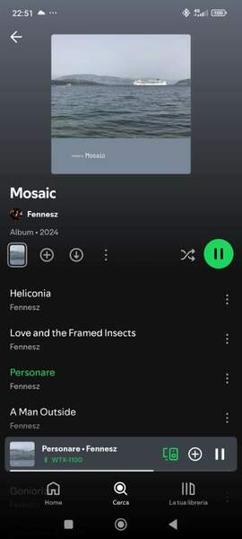 Screenshot_2025-03-06-22-51-21-247_com.spotify.music.jpg