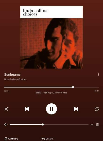 Screenshot_20250302_192827_WiiM Home.jpg