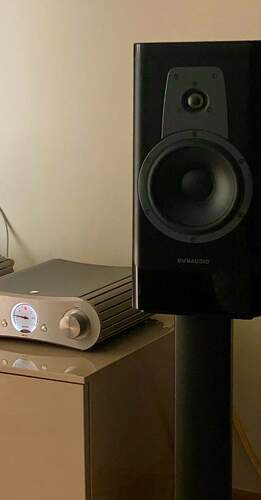 Maggiori informazioni su "Dynaudio Contour 20 + Stand 20 Dynaudio"