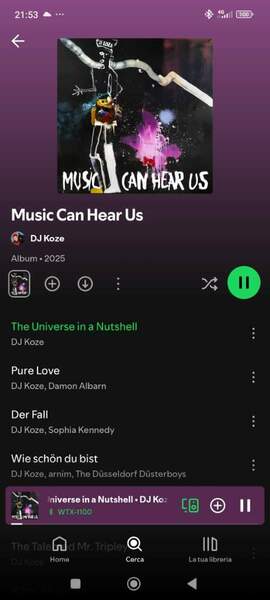 Screenshot_2025-04-11-21-53-39-163_com.spotify.music.jpg