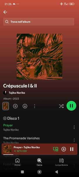 Screenshot_2025-04-17-21-26-47-435_com.spotify.music.jpg