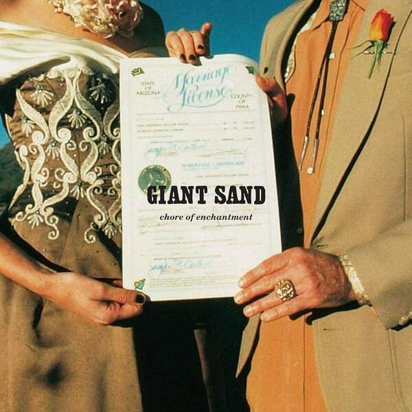 71Smey4EFlL._UF1000,1000_QL80_ (1).jpg