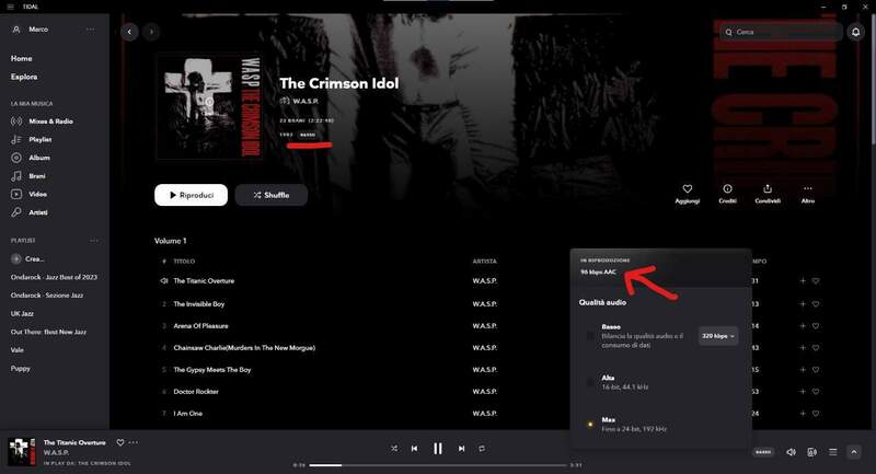 Immagine 2025-05-11 214258.jpg