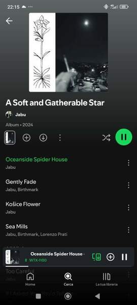Screenshot_2025-05-10-22-15-55-999_com.spotify.music.jpg