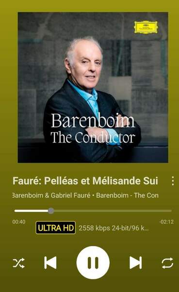 Screenshot_20250503_111207_WiiM Home.jpg