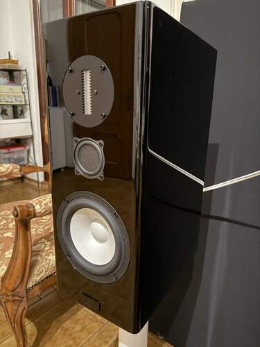 Maggiori informazioni su "Diffusori Philharmonic BMR Monitor"