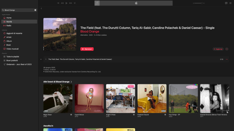 Screenshot 2025-06-27 alle 11.02.11.png