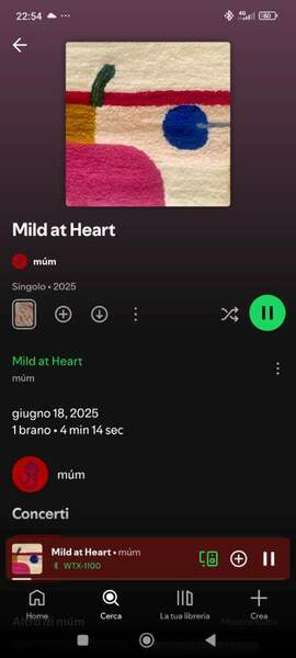 Screenshot_2025-06-19-22-54-38-835_com.spotify.music.jpg