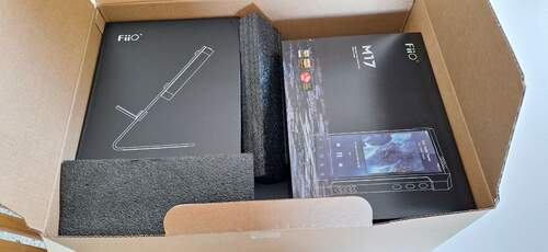 Maggiori informazioni su "(VI) Vendo dap Fiio M17"