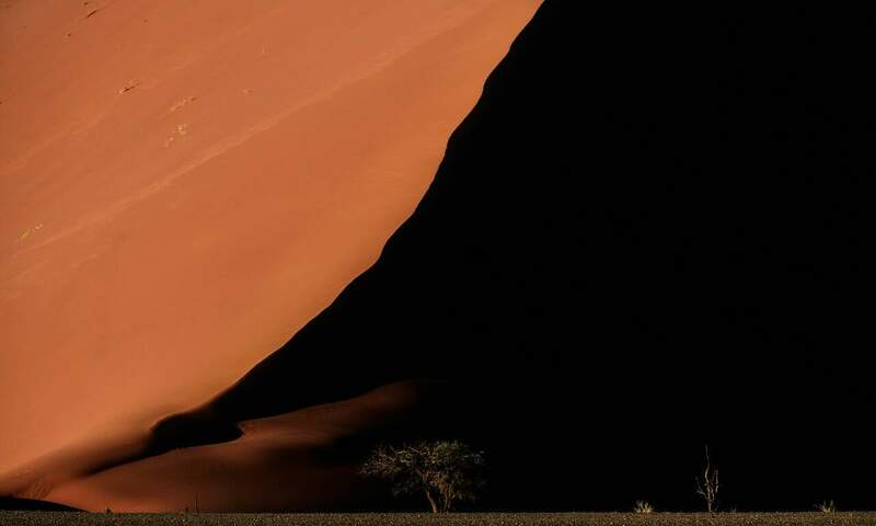 Dune---RM1_5452-2.thumb.jpg.d85bbb402721544f9cb9874dc921342c.jpg