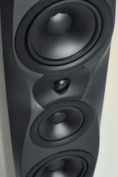 Dynaudio Confidence 30 - Smoke High Gloss 01.webp