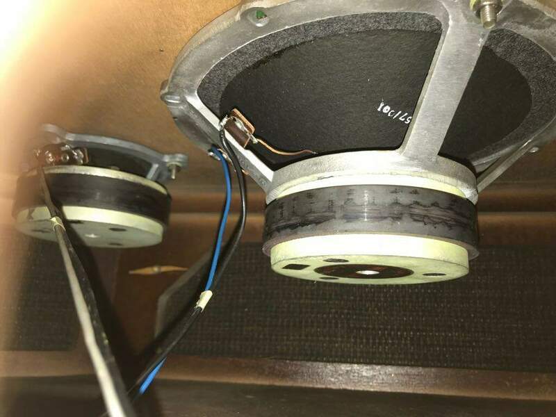 Foto da Roberto(4).jpg