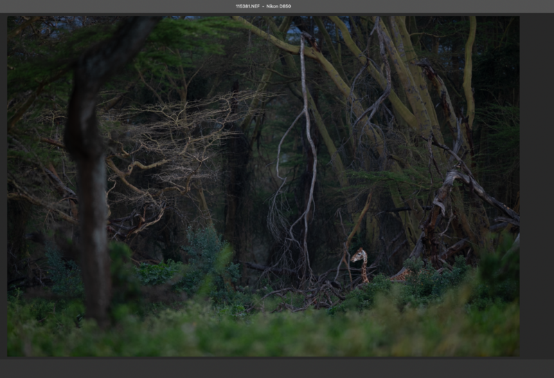 Screenshot 2025-07-12 alle 00.22.06.png