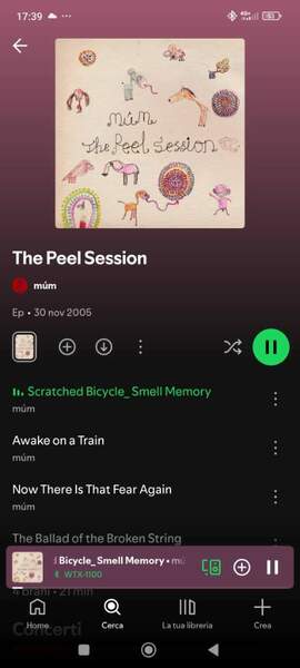 Screenshot_2025-07-20-17-39-39-249_com.spotify.music.jpg