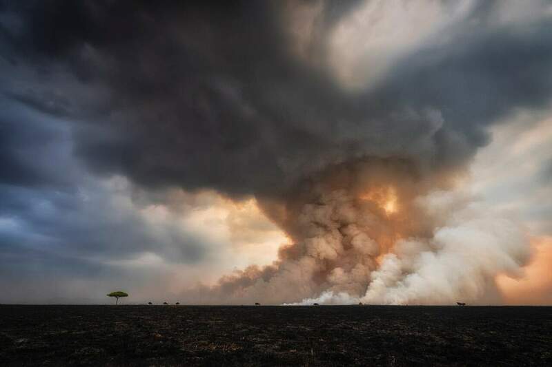 Savannah Burning.jpg