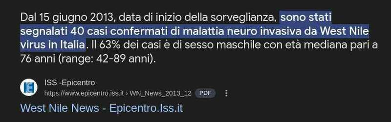 Screenshot 2025-08-01 at 17-22-18 west nile 2013 italia - Cerca con Google.jpg