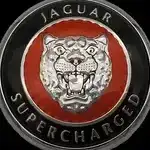 jaguarissimo